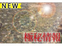 阪急芦屋川・JR芦屋　2WAYアクセス　最新PROJECT