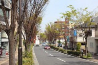 芦屋市精道町土地　完全極秘物件
